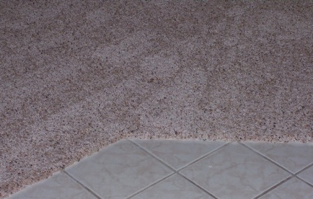 Carpet Transition Edge, How To Transition Carpet Vinyl Tile